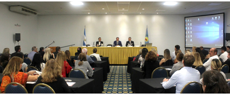 Reunión de Socios de la AMFEAFIP